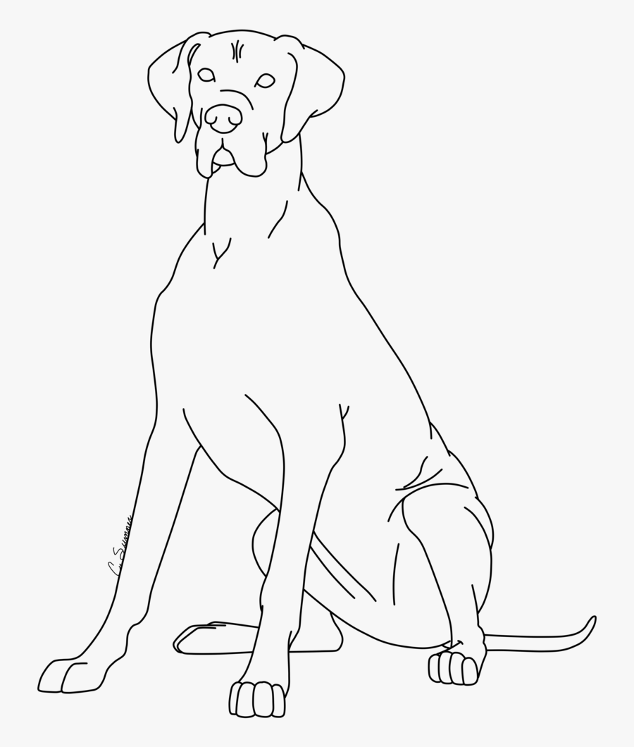 Draw Coloring Pages Of Great Danes, Transparent Clipart