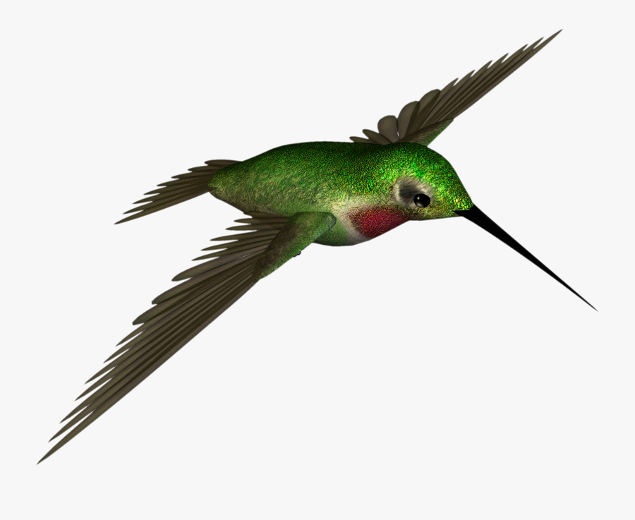 Hummingbird Clipart - Clipart Library - High Resolution Hummingbird Png, Transparent Clipart
