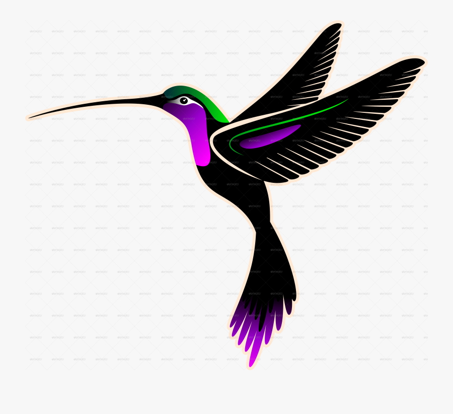 Transparent Background Hummingbird Art, Transparent Clipart