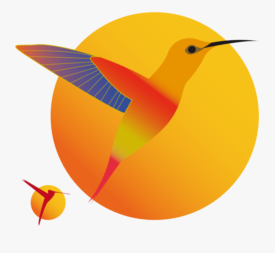 Mouvement Colibri Png, Transparent Clipart