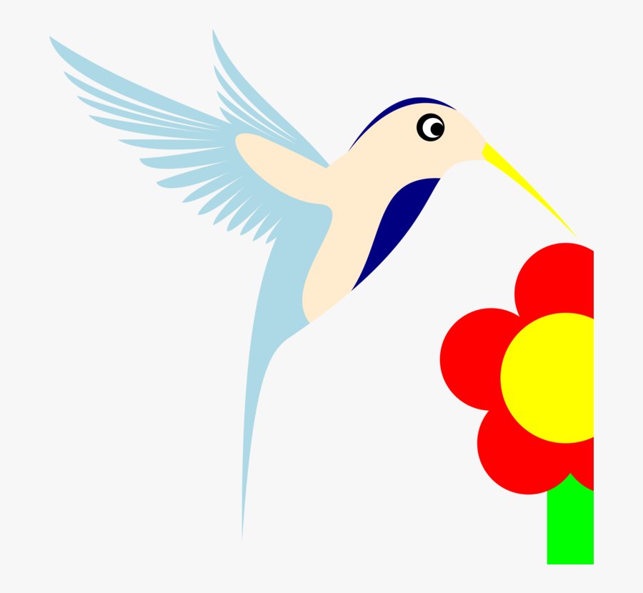 Flower,fictional Character,pollinator - Bird, Transparent Clipart