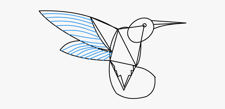 How To Draw Hummingbird - Sketch, Transparent Clipart