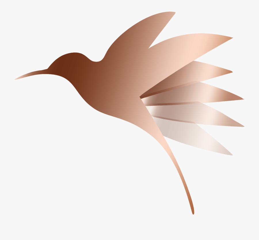 Transparent Hummingbird Png - Illustration, Transparent Clipart