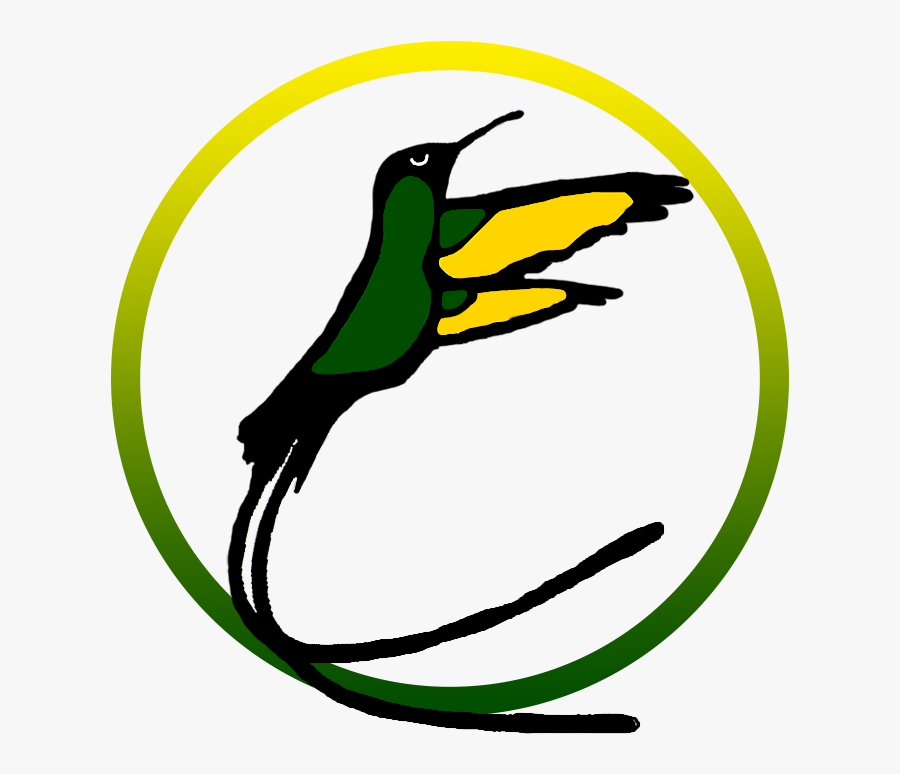 Transparent Pots And Pans Png - Jamaican Humming Bird Png, Transparent Clipart