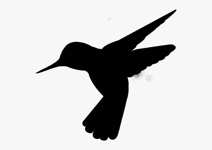 Black Hummingbird In Png, Transparent Clipart