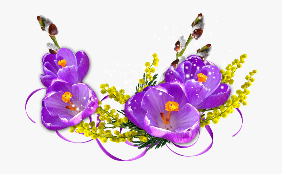 Mimosa Clipart , Png Download - Mimosa, Transparent Clipart