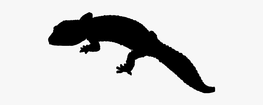 Reptile Lizard Common Leopard Gecko - Leopard Gecko Clipart Black And White, Transparent Clipart