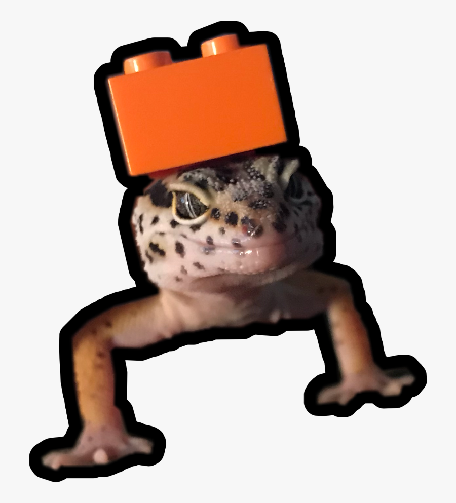 Gecc - Toad, Transparent Clipart