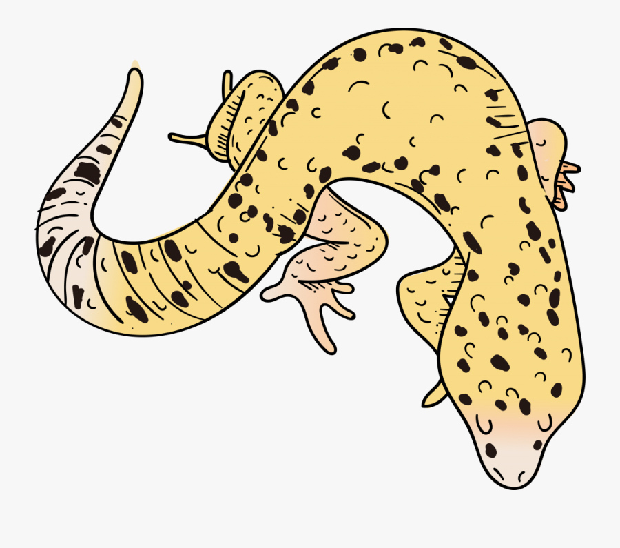 Gecko Clip Art, Transparent Clipart