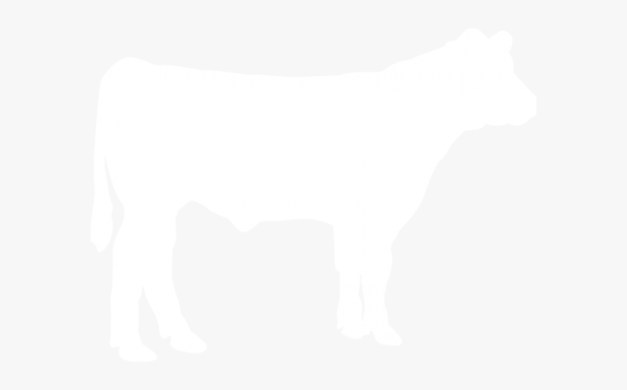 Beef Clipart Heifer - White Steer Silhouette Png, Transparent Clipart