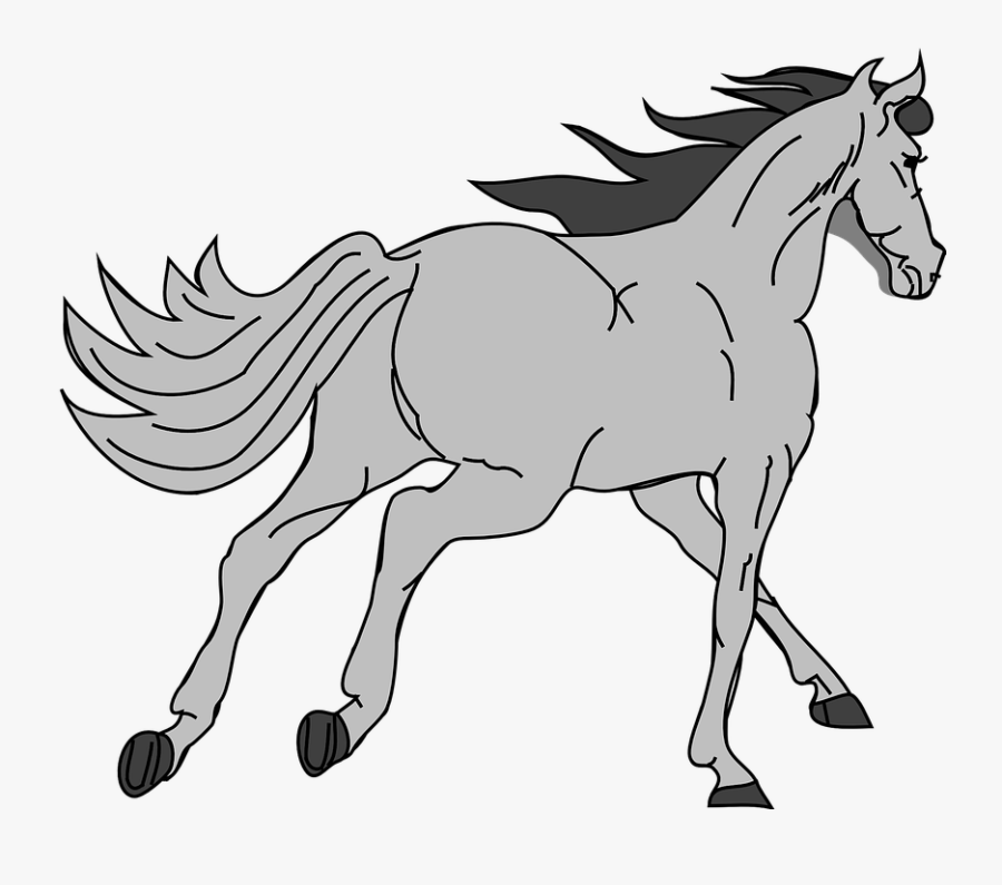 Horse, Pony, Race, Gallop, Tantivy, Canter, Lope, Gray - Grey Horse Clipart, Transparent Clipart