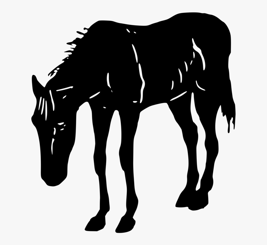 Transparent Colt Clipart - Horse, Transparent Clipart