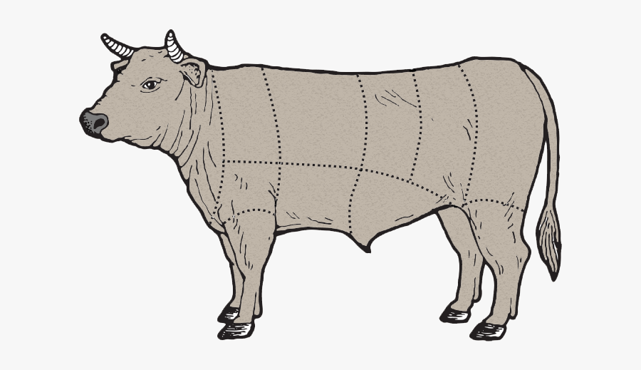 Where Are The Beef Cuts - Drawing Beef Cow, Transparent Clipart