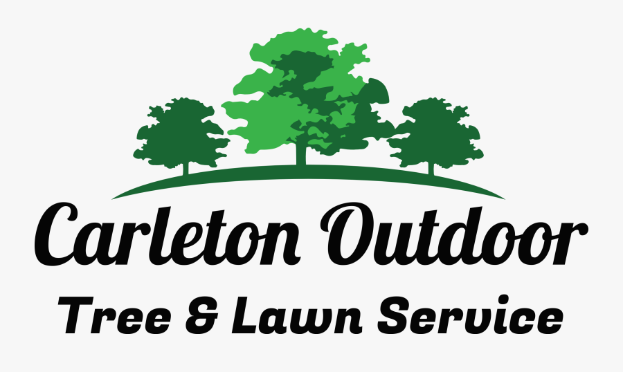 Logo - Tree, Transparent Clipart