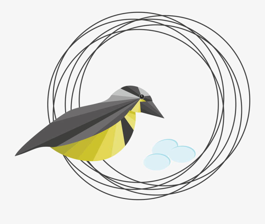 Old World Flycatcher, Transparent Clipart