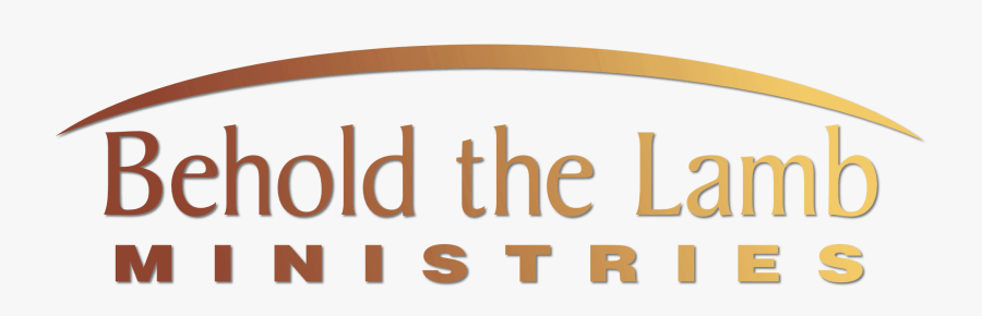 Orange, Transparent Clipart