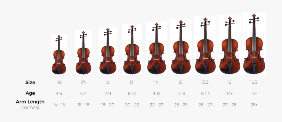 Viola Size , Free Transparent Clipart - ClipartKey