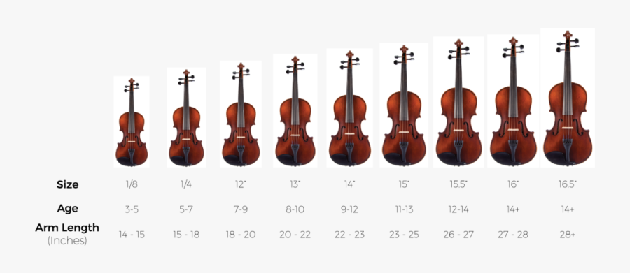 Viola Size, Transparent Clipart