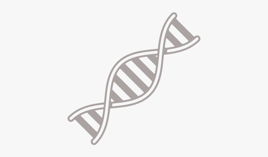 Life Science Black And White, Transparent Clipart