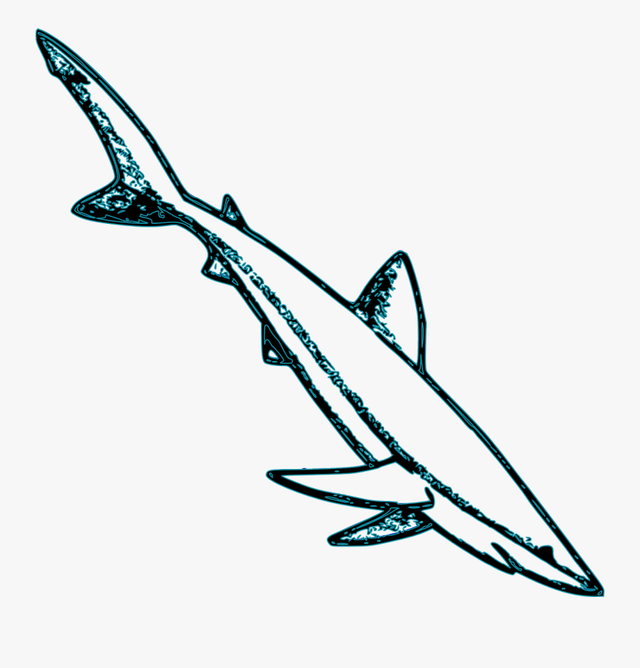 Shark Animal Sea Life Free Picture - Blue Shark Clip Art Black And White, Transparent Clipart