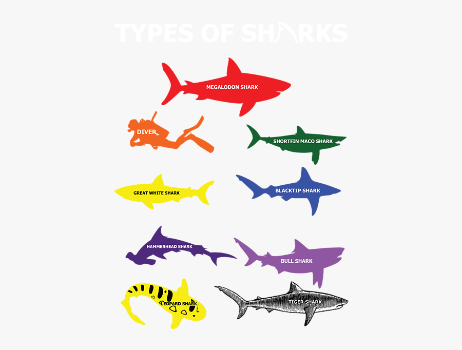 Shark, Transparent Clipart