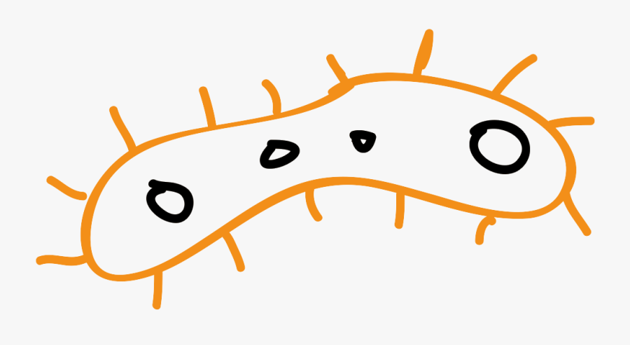 Clip Art, Transparent Clipart