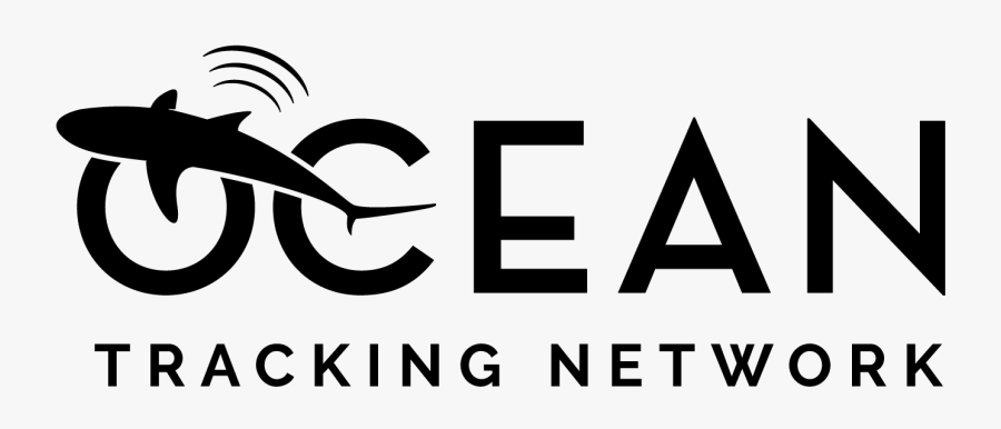 Graphic Design, Transparent Clipart