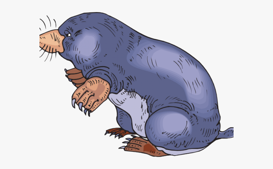 Mole Clip Art, Transparent Clipart