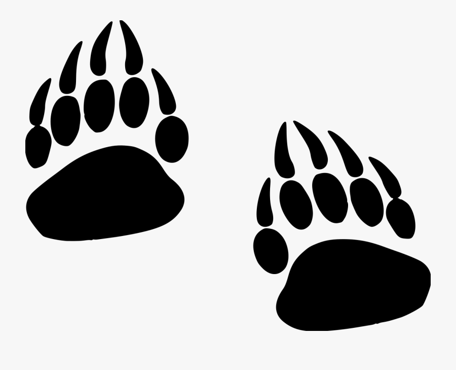 Grizzly Paw Prints File Size - Clip Art Grizzly Paw Print, Transparent Clipart