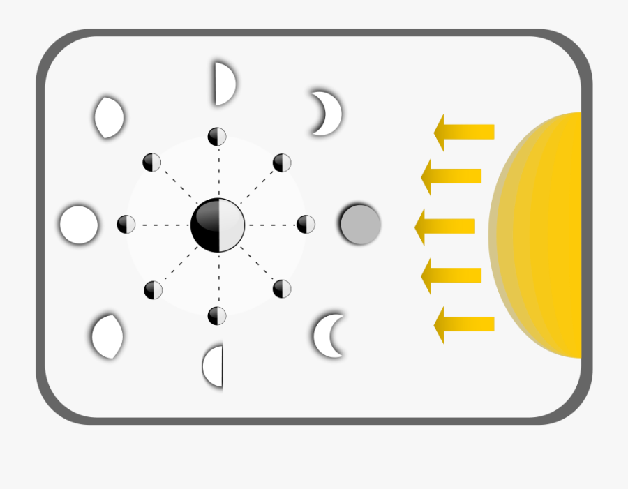 How To Set Use Diagram Of Moon Faces Svg Vector - Blank Moon Phases Diagram, Transparent Clipart