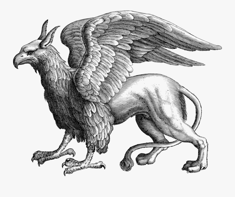 Griffin, Gryphon, Line Art, Mythological, Mythical - Griffin Mythical Creature, Transparent Clipart