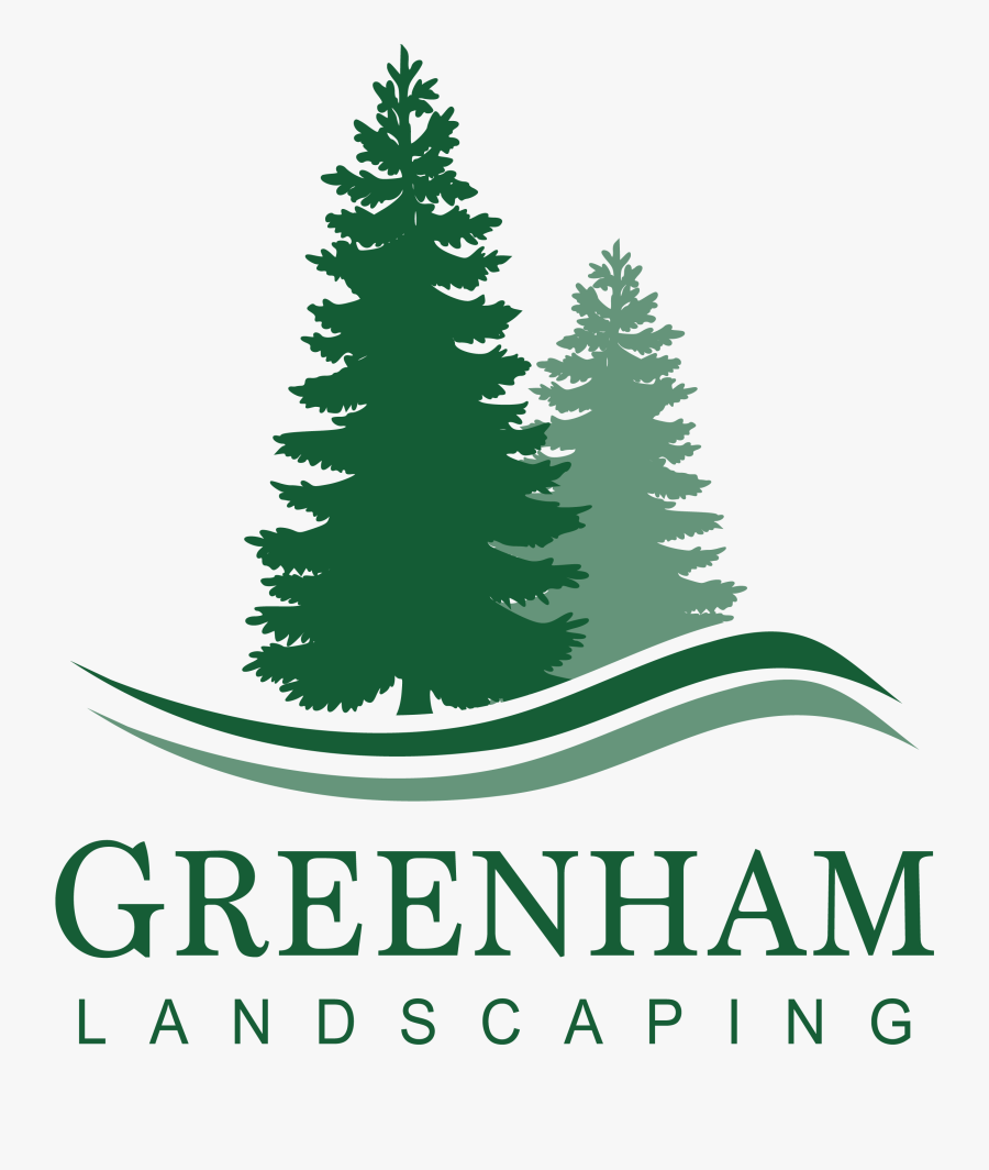 Evergreen Tree Pine Silhouette Fir - Pine Tree Clipart Png, Transparent Clipart