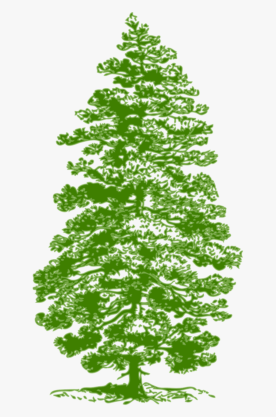 Tree Pine Huge Free Picture - Tree Silhouette Png Green, Transparent Clipart