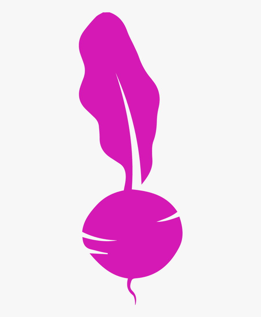 Matzah Clip Art, Transparent Clipart