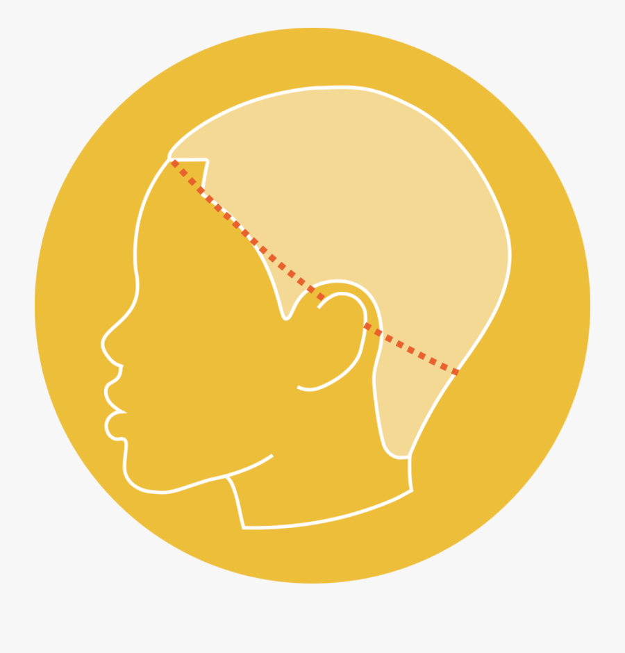 Circle, Transparent Clipart