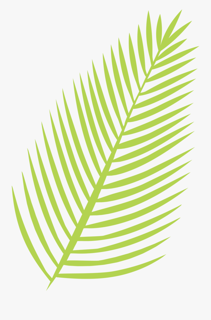 Palm Leaf Svg Cut File Palm Leaf Svg Free Transparent Clipart Clipartkey
