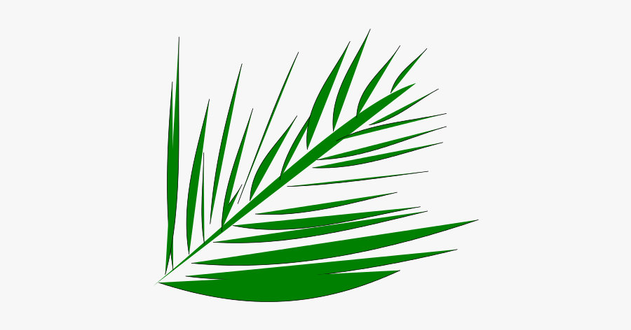 Palmleaf - Palm Tree Branch Clip Art, Transparent Clipart