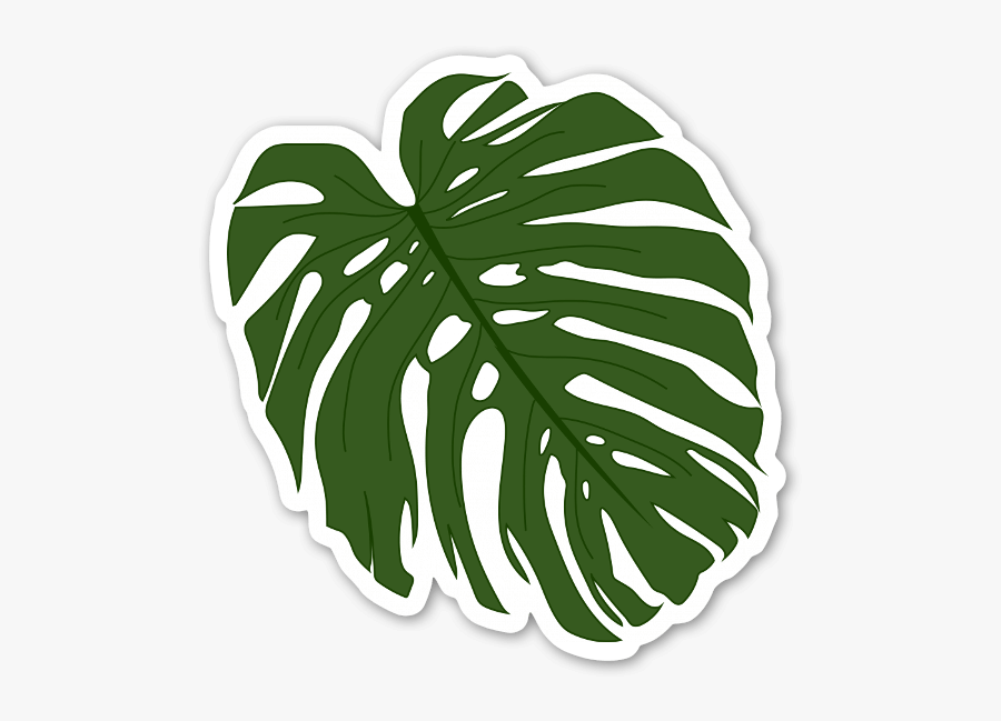 Palm Leaf Sticker - Palm Leaf Leaf Sticker, Transparent Clipart