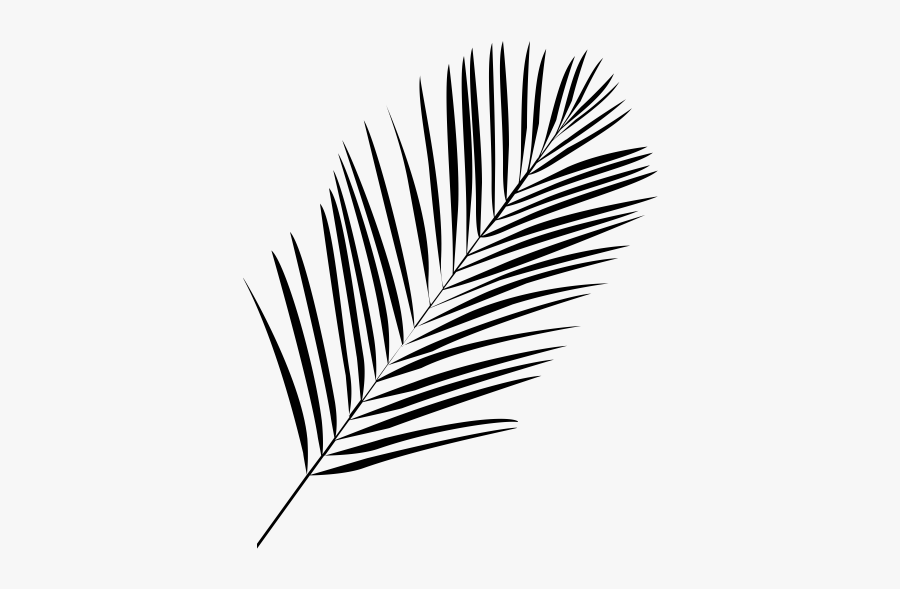 "
 Class="lazyload Lazyload Mirage Cloudzoom Featured - Palm Leaf Line Art, Transparent Clipart