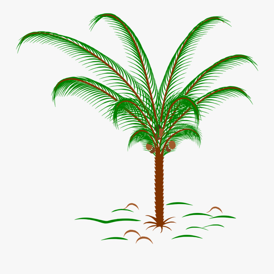 Golf Ball Palm Tree, Transparent Clipart