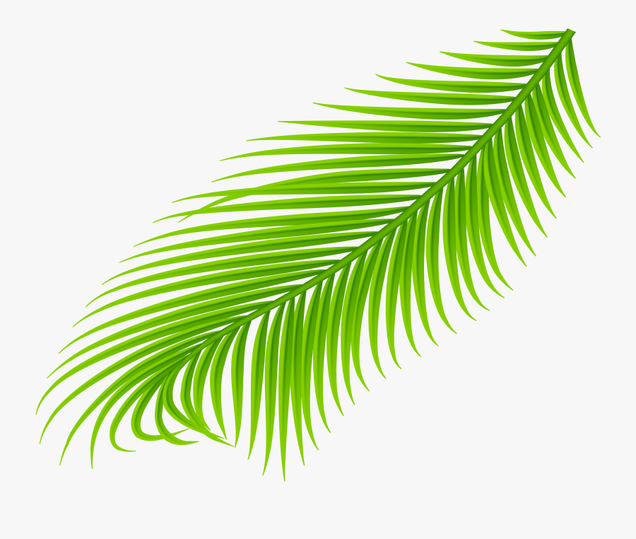 Easter Clipart Palm, Transparent Clipart