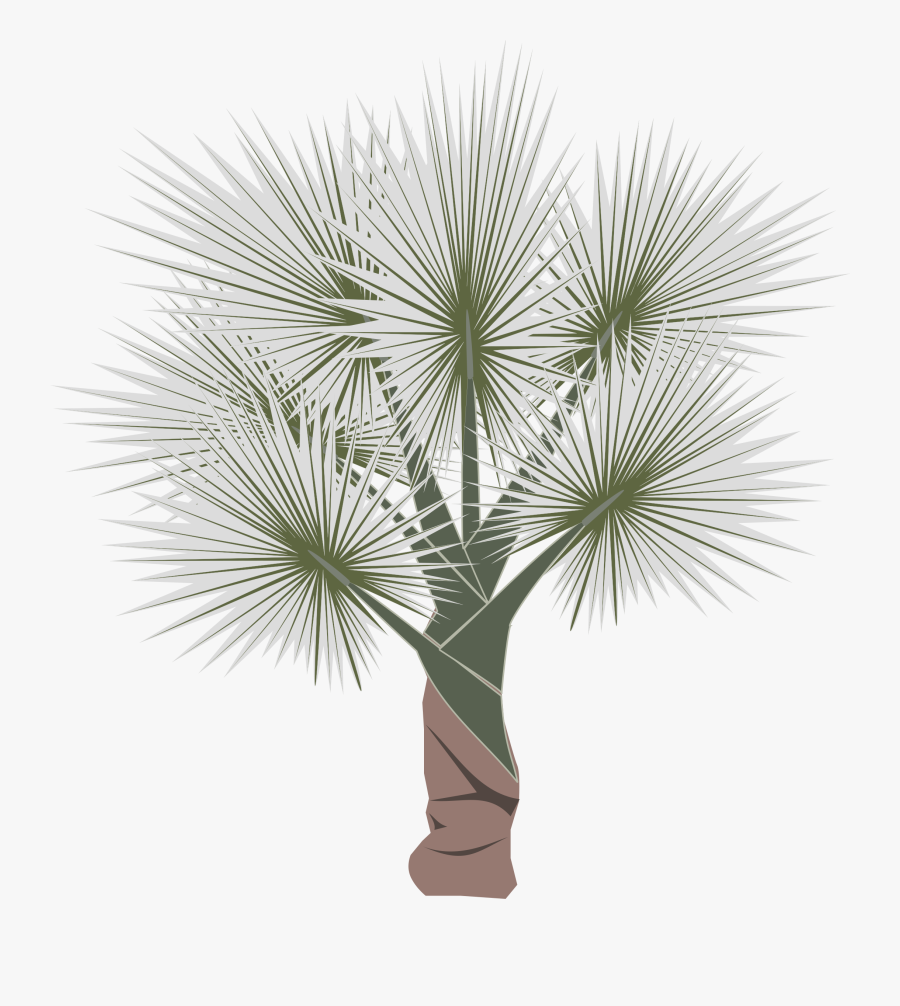 Palm-01 Clip Arts - Sabal Minor, Transparent Clipart