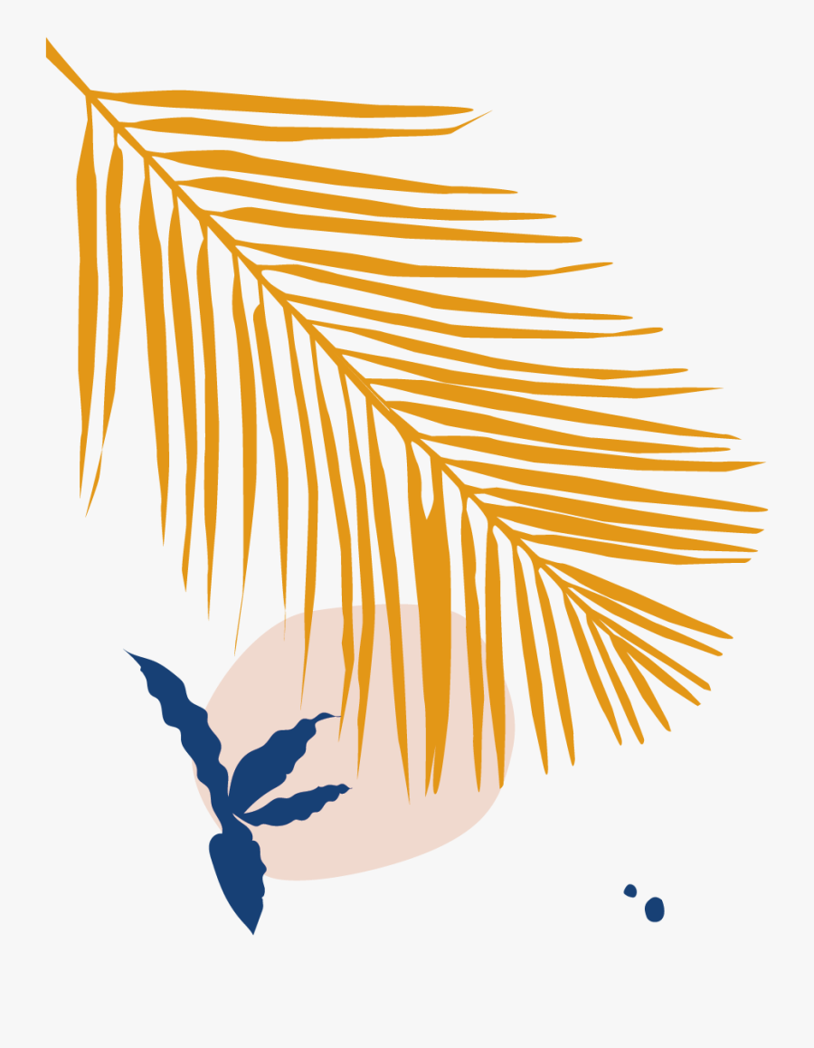 Illustration, Transparent Clipart