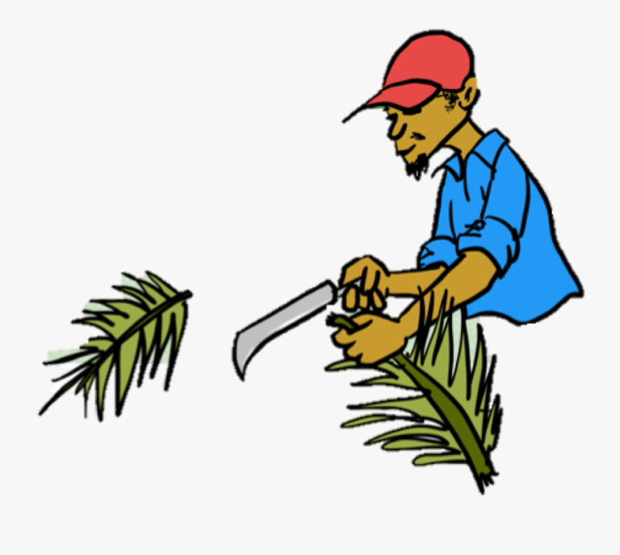 Clip Art, Transparent Clipart