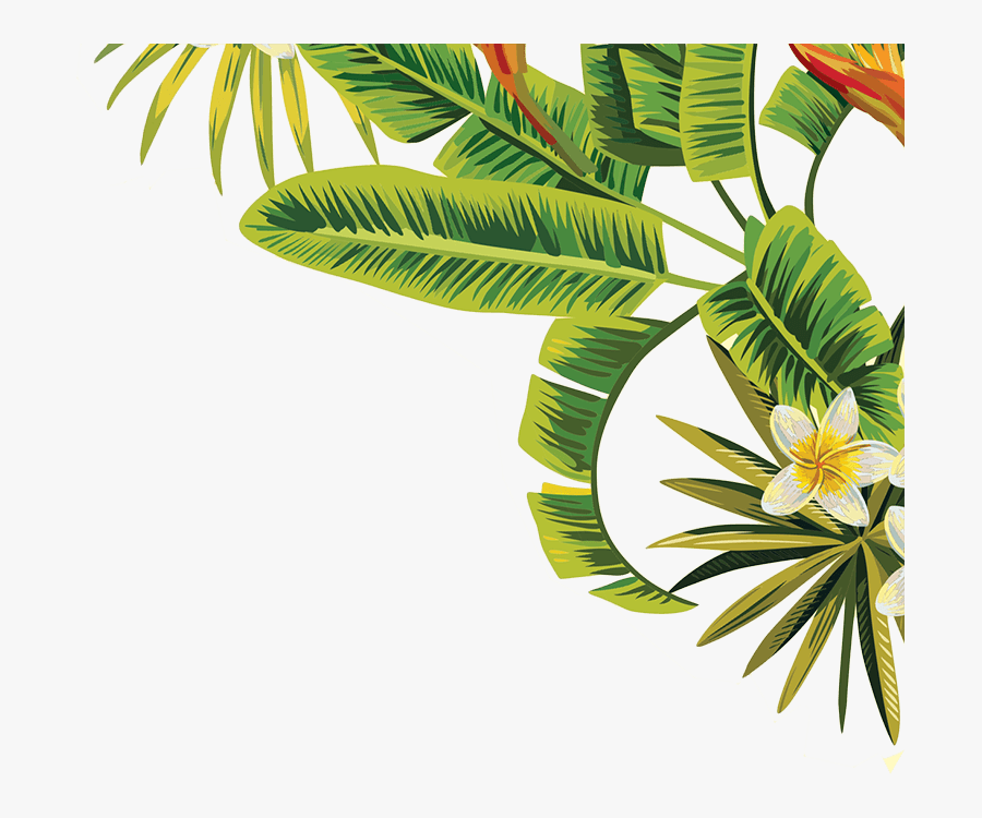 Transparent Background Tropical Leaves Png, Transparent Clipart