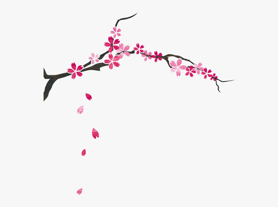Cherry Blossom, Transparent Clipart
