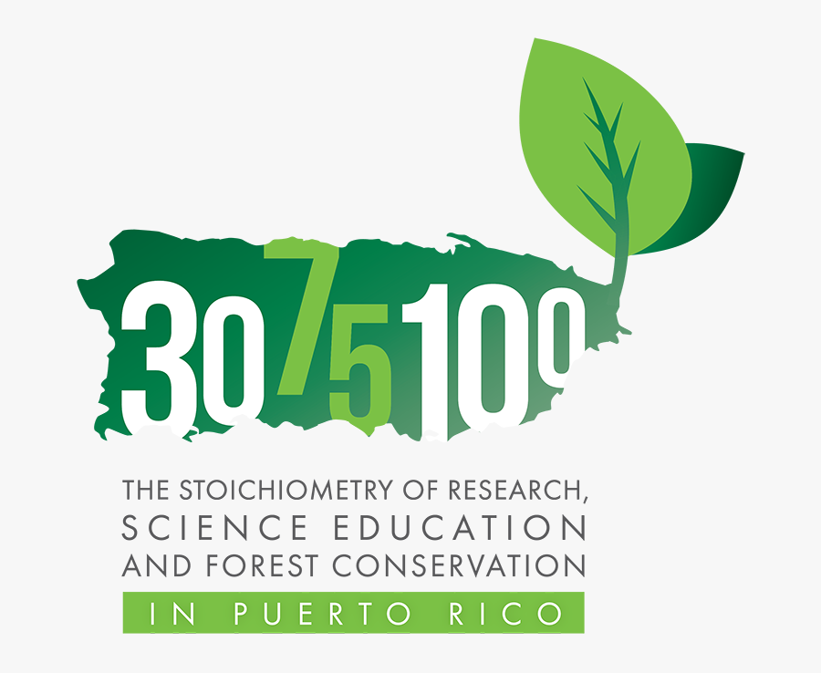 Graphic Design, Transparent Clipart