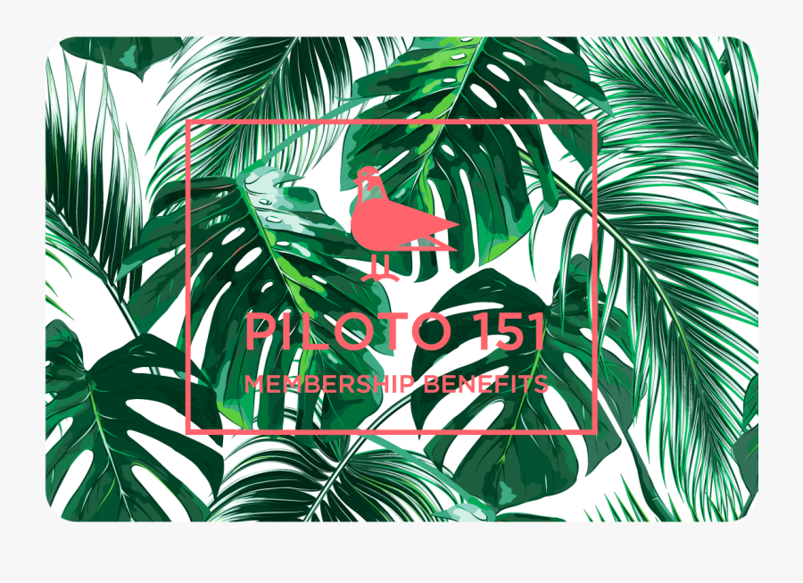 Palm Leaves Background Mac, Transparent Clipart