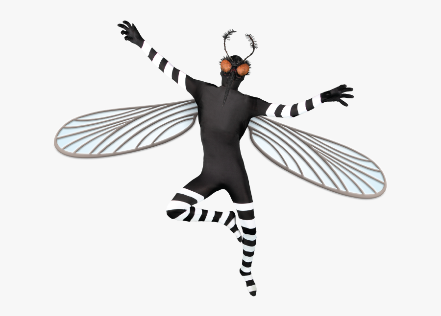 Puerto Rico Clip Art, Transparent Clipart