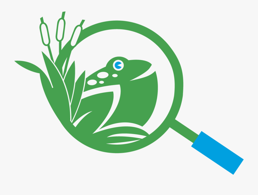 Glass Of Water Clip Art, Transparent Clipart